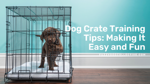 Dog Crate Training Tips: Making It Easy and Fun