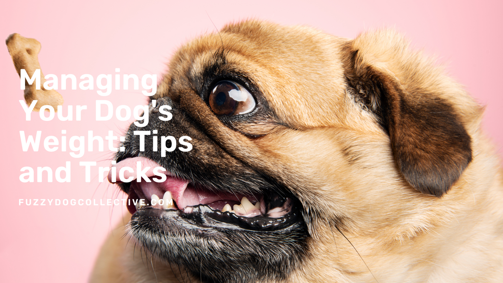 Managing Your Dog's Weight: Tips and Tricks