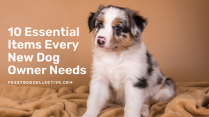 10 Essential Items Every New Dog Owner Needs