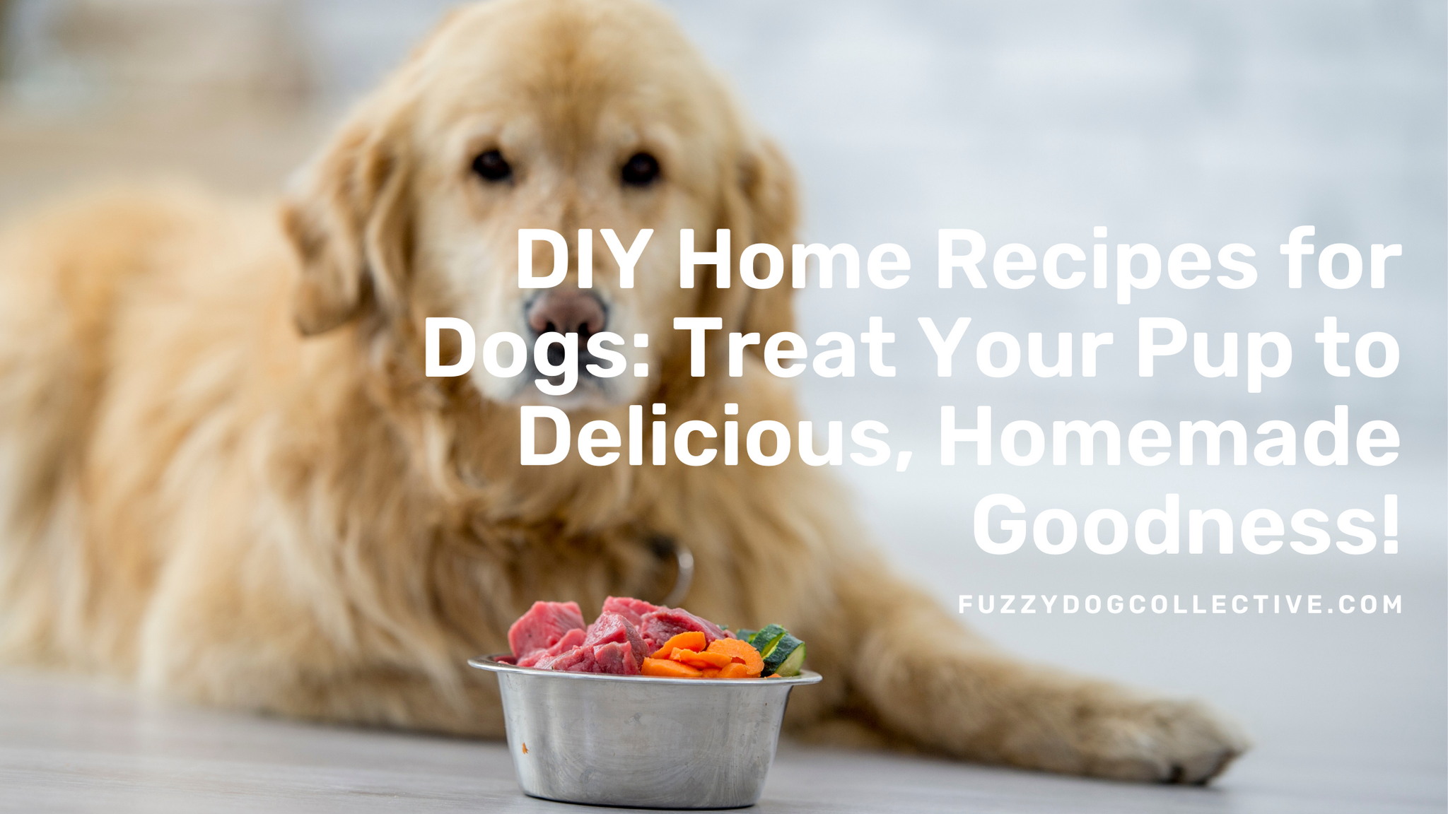 DIY Home Recipes for Dogs: Treat Your Pup to Delicious, Homemade Goodness!