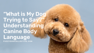“What is My Dog Trying to Say?” Understanding Canine Body Language
