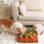 Load image into Gallery viewer, Vegetable Chew Pet Toy
