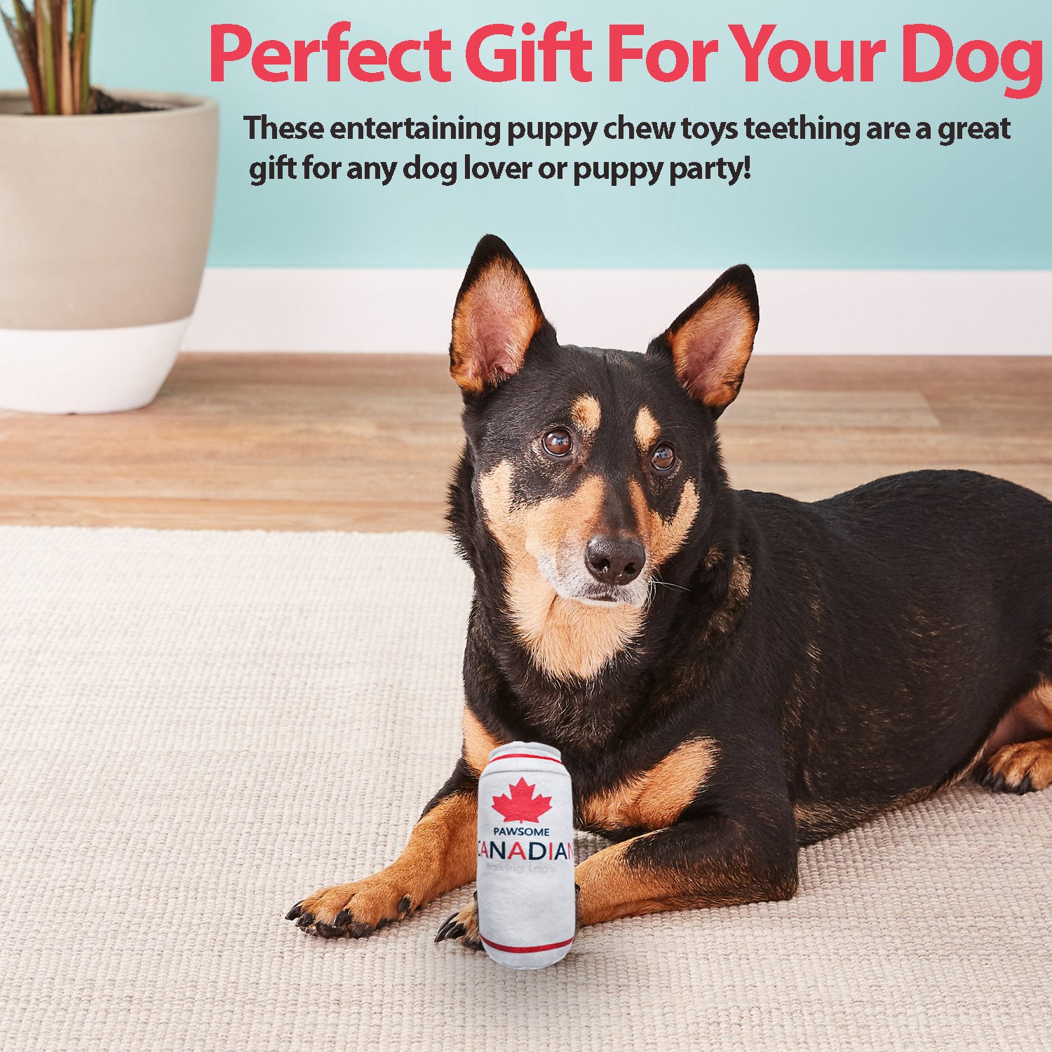 Pawsome Canadian Parody Beer Can Dog Toy with Squeaker