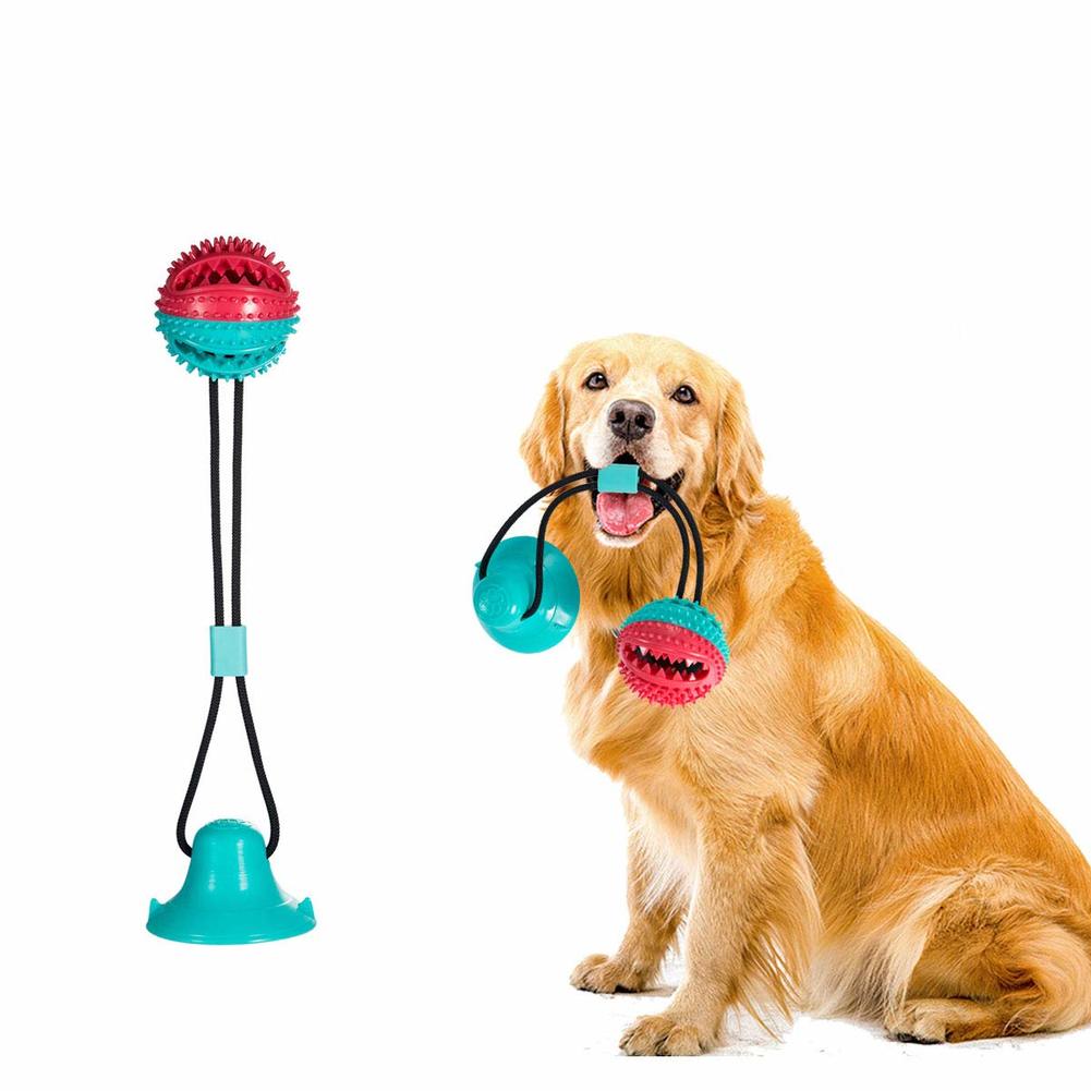 Dog suction cheap cup toy