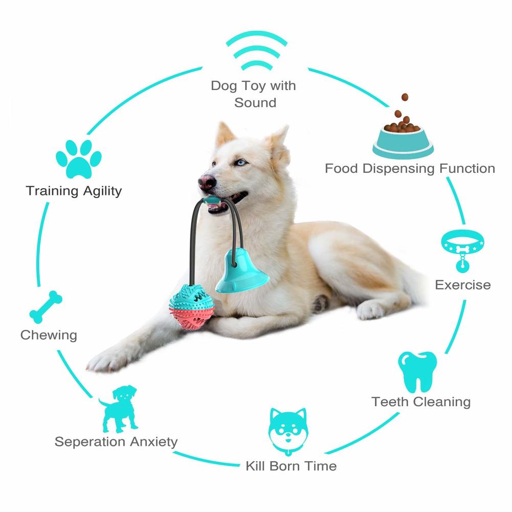 Pet molar bite toy best sale