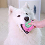 Load image into Gallery viewer, Pet Dog Chew Toys
